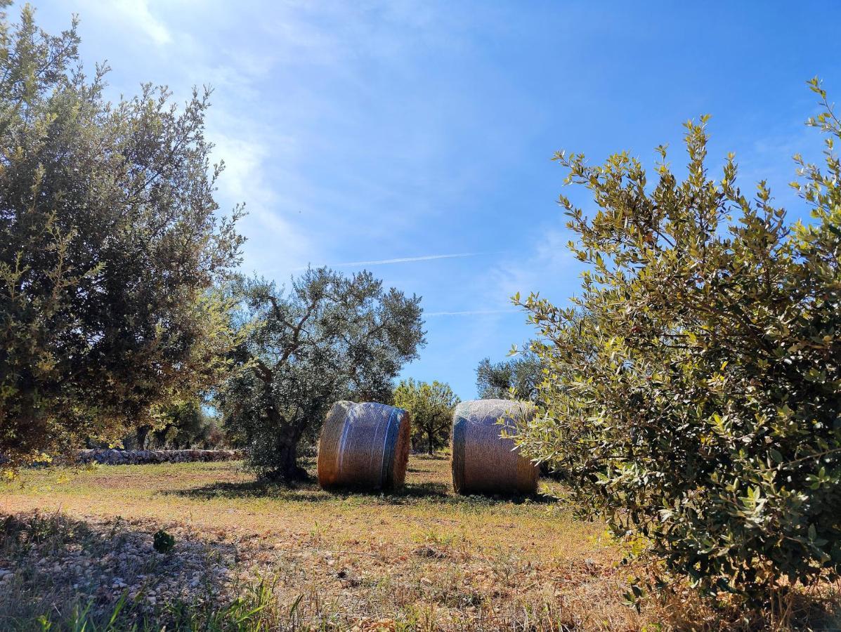 Come Una Volta - Il Trullo Alberobello Zewnętrze zdjęcie
